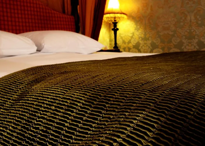 Pensionat Butlers Townhouse Dublin